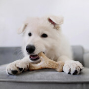 Jouet à mâcher puppy Wishbone