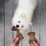 Jouet à mâcher pack puppy dental Chew-Wishbone bacon