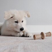 Jouet à mâcher pack puppy Maplestick-Zaggler bacon