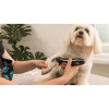 WAHL Tondeuse sans fil smart clip pour chien