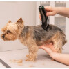 WAHL Tondeuse sans fil Easy Pro+ chien