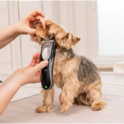 Tondeuse sans fil easy pro+ petit chien