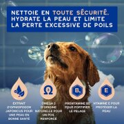 Shampoing Douxo Spa anti chute de poils pour chien 250 ml