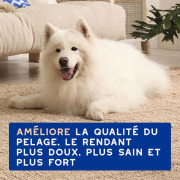 Shampoing anti chute de poils pour chien 250 ml