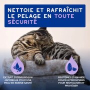 Mousse sans rinçage Douxo Spa hypoallergénique chat 150 ml