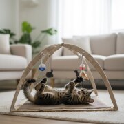 Parc d’activité pour chat avec 4 jeux