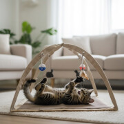 Parc d’activité pour chat avec 4 jeux