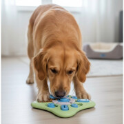 Jouet éducatif distributeur de friandises