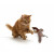Jouet oiseau interactif pour chat rechargeable