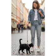 Harnais et laisse noir avec strass pour chat