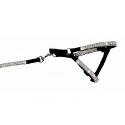 Harnais et laisse noir avec strass pour chat