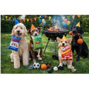 Jouet corde chien paquet Dorito 36 cm