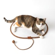 Tapis griffoir chat avec corde et balle