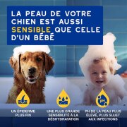 Shampooing Douxo Spa hydratant à l’avoine pour chien 250 ml