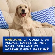 Shampooing Douxo Spa hydratant à l’avoine pour chien 250 ml