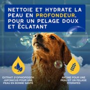Shampooing Douxo Spa hydratant à l’avoine pour chien 250 ml