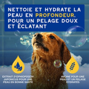 Shampooing hydratant à l’avoine pour chien 250 ml