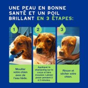 Shampooing Douxo Spa pour chiot 250 ml