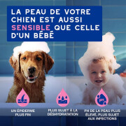 Shampooing Douxo Spa anti-démangeaisons pour chien 250 ml