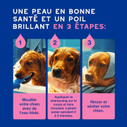 Shampooing anti-démangeaisons pour chien 250 ml