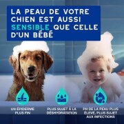 Shampooing Douxo Spa anti-odeurs pour chien 250 ml