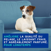 Shampooing anti-odeurs pour chien 250 ml