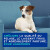 Shampooing anti-odeurs pour chien 250 ml