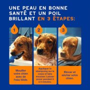 Shampoing et soin démêlant 2-en-1 pour chien Douxo Spa pour chien 250 ml