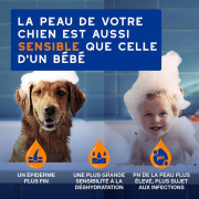 Shampoing et soin démêlant 2-en-1 pour chien 250 ml