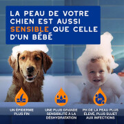 Spray démêlant Douxo Spa chien 295 ml
