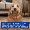 Spray démêlant chien 295 ml