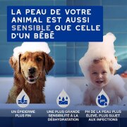 Lingettes multi‑usages Douxo Spa chien & chat