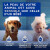 Lingettes multi-usages chien & chat