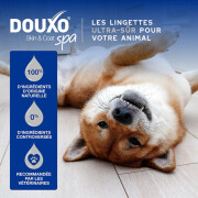 Lingettes multi‑usages Douxo Spa chien & chat