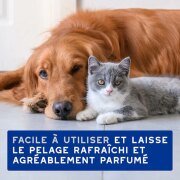 Lingettes multi‑usages Douxo Spa chien & chat