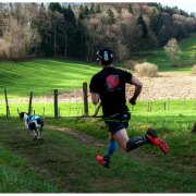 Ceinture baudrier Inlandsis aircross pour canicross, skijoring, canirando