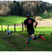 Ceinture baudrier aircross noire pour canicross, skijoring, canirando