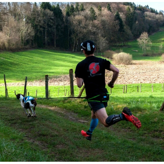 Ceinture baudrier aircross noire pour canicross, skijoring, canirando