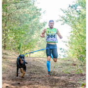 Ceinture baudrier aircross noire pour canicross, skijoring, canirando