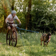 Barre cani‑VTT Inlandsis Bikejor Max UL