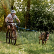 Barre cani-VTT Bikejor Max UL