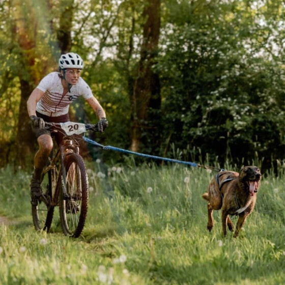 Barre cani-VTT Bikejor Max UL