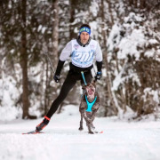 Harnais Blizzard Beast rouge pour canicross, cani-VTT, skijoring et attelage