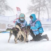Harnais Inlandsis Polar Quest pour sport canin