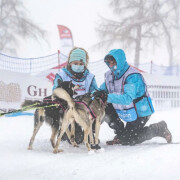 Harnais Inlandsis Polar Quest pour sport canin
