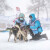 Harnais Polar Quest pour sport canin rouge/noir