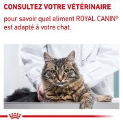 ROYAL CANIN Expert Mature Consult Balance - Croquettes chat