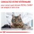 ROYAL CANIN Expert Mature Consult Balance - Croquettes chat