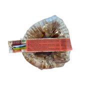 Donuts de trachée de bœuf pour chien