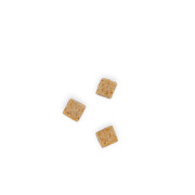 Friandises lyophilisées Peau & Pelage Saumon pour Chat 40 g